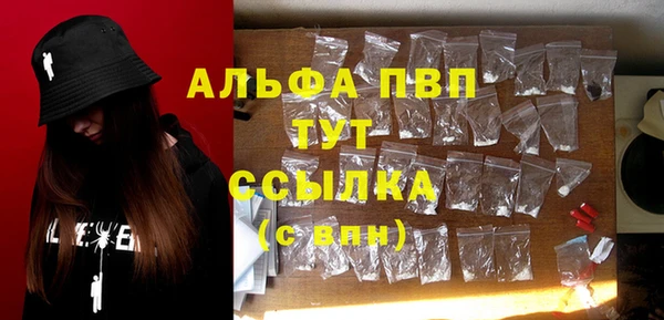гидра Волоколамск