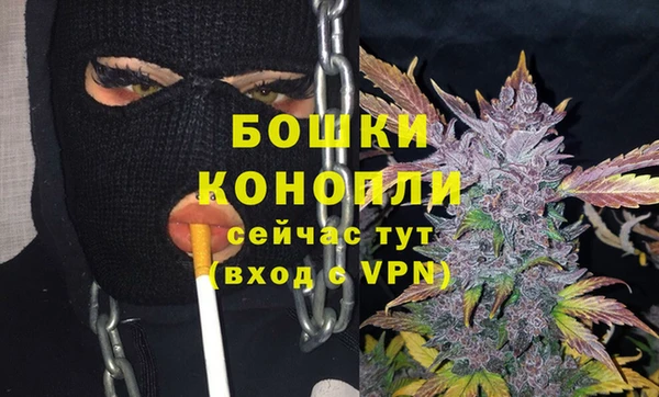 дживик Верея