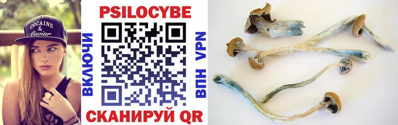 Галлюциногенные грибы GOLDEN TEACHER  Купить где  Нытва